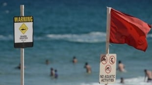 An der australischen Ostküste ist ein Surfer von einem Hai angegriffen worden. Die Strände in der Region sollen jetzt für mindestens 24 Stunden gesperrt bleiben (Archivbild). (Bild: AFP)