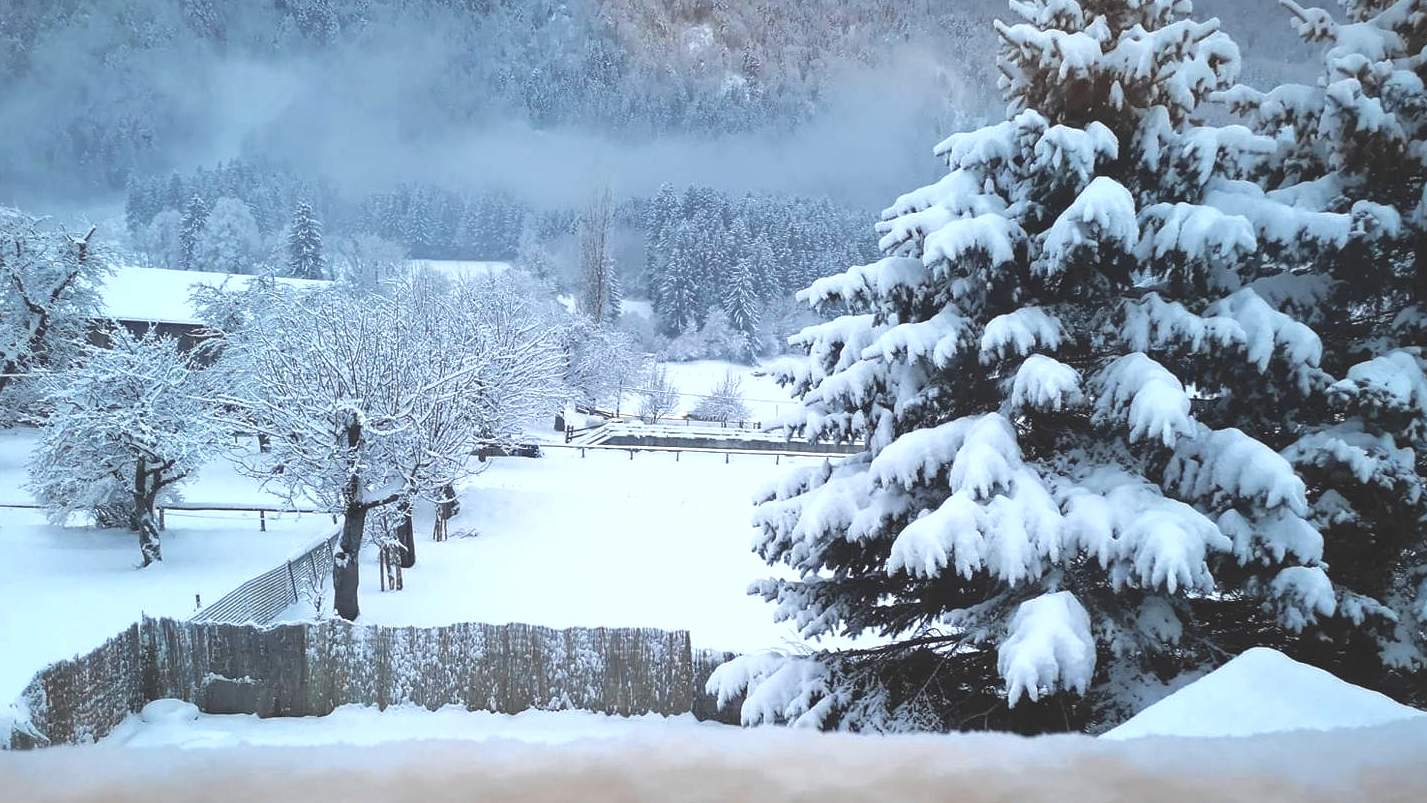Baldramsdorf im Schnee - fotografiert von „Krone“-Leserin Jenny Kuchler (Bild: Jenny Kuchler)