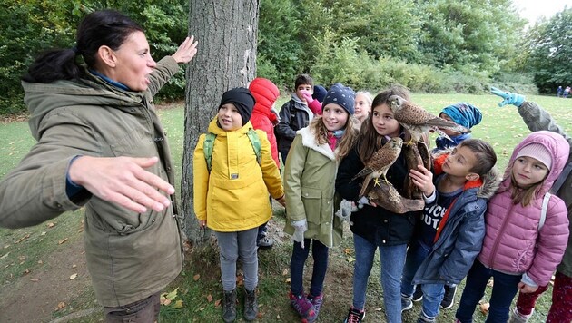 Der Naturpark Rosalia-Kogelberg will auch seinem Bildungsauftrag gerecht werden. (Bild: Reinhard Judt)