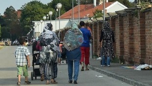 In Österreich werden derzeit weniger Asylanträge gestellt, im September kamen die meisten von ...