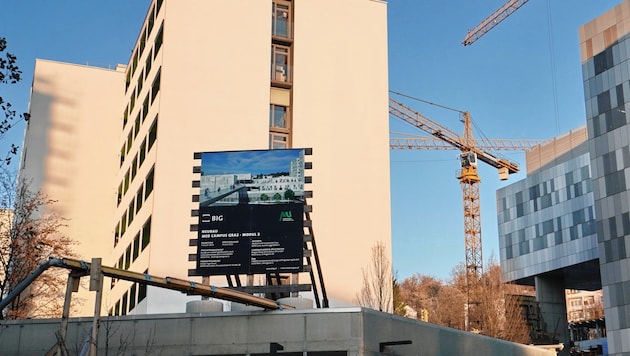 Auf der Grazer Med Uni gibt es im Moment anscheinend nicht nur äußerlich einige Baustellen. (Bild: Sepp Pail)