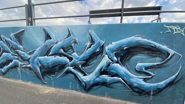 Graffiti-Kunst auf Salzburgs in Salzburg Stadt (Bild: Karina Langwieder)