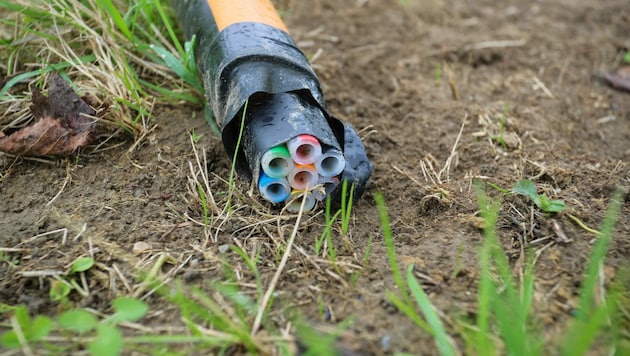 As the data and communications company GlobalConnect announced on Tuesday, it was a land cable that had been damaged in two different places. (symbolic image) (Bild: Pressefoto Scharinger © Scharinger)