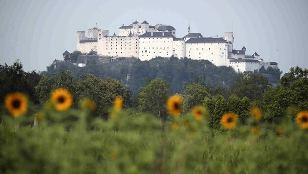 Wenige Kilometer von der Stadt Salzburg entfernt wurde eine Frau Opfer eines Raubes.  (Bild: ANDREAS TROESTER)