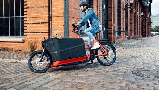Mit eCargo Bikes lassen sich sowohl Familie oder größere Lasten spielend leicht transportieren. (Bild: Riese & Müller)