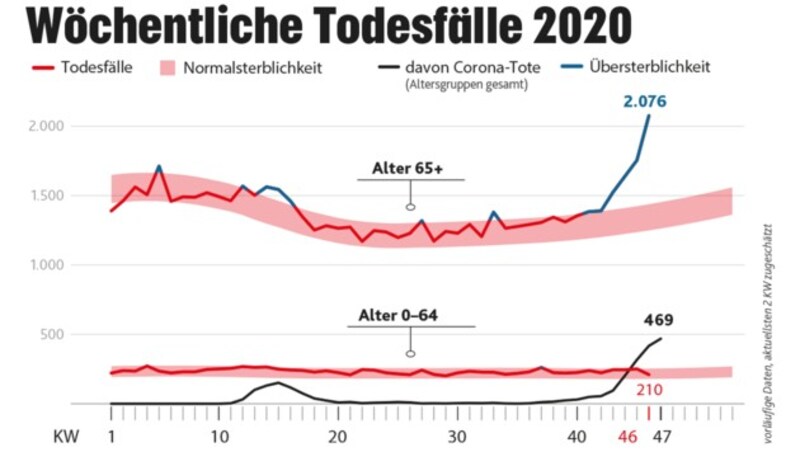 (Bild: Krone KREATIV, Quelle: MA23/Statistik Austria)