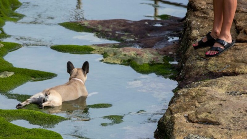 Kältewetter in Österreich, Hundstage in Australien. (Bild: AP)