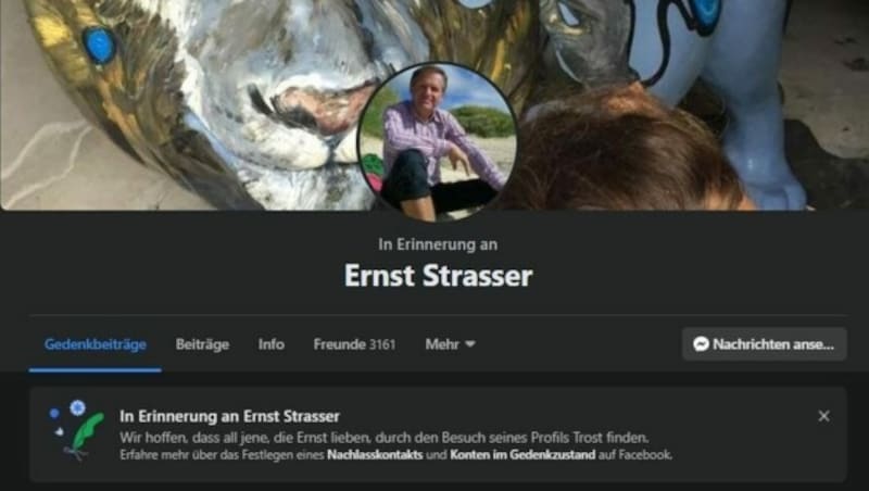 Ein Screenshot von der Facebook-Seite von Ernst Strasser (Stand: 28.11.2020 um 13.40 Uhr). (Bild: Screenshot Facebook)