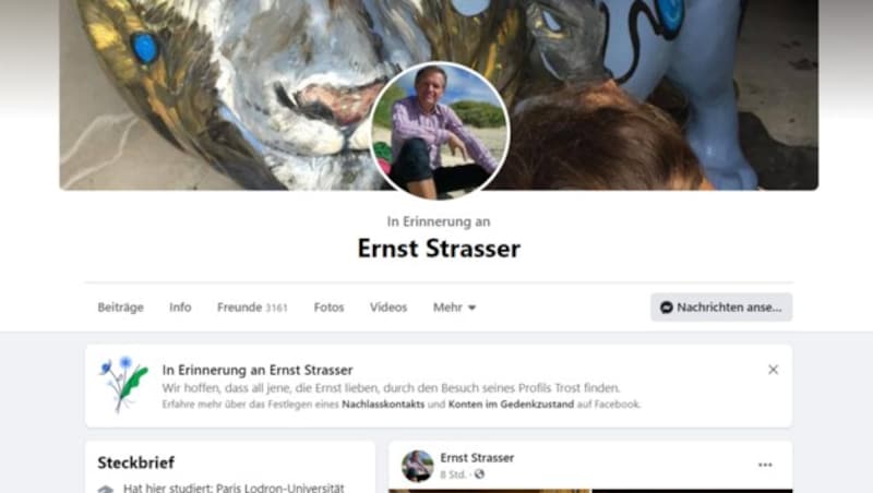 Screenshot der Facebook-Seite (Desktop) von Ernst Strasser (Stand: 28.11.2020, 14.25 Uhr) (Bild: facebook.com/ernst.strasser)