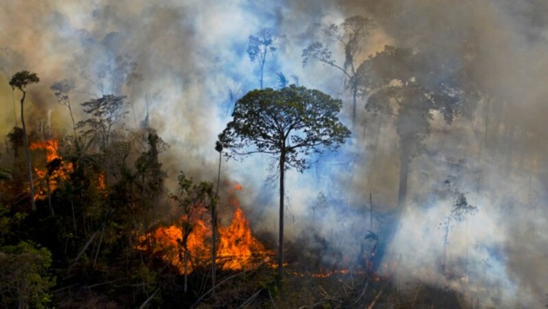 Die „Lunge der Erde“ brennt. Die Brandrodungen im brasilianischen Amazonasgebiet haben in den vergangenen Jahren deutlich zugenommen. (Bild: AFP/CARL DE SOUZA)