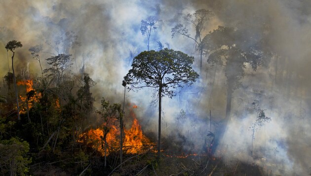 Die „Lunge der Erde“ brennt. Die Brandrodungen im brasilianischen Amazonasgebiet haben in den vergangenen Jahren deutlich zugenommen. (Bild: AFP/CARL DE SOUZA)