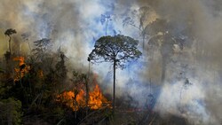 Die „Lunge der Erde“ brennt. Die Brandrodungen im brasilianischen Amazonasgebiet haben in den vergangenen Jahren deutlich zugenommen. (Bild: AFP/CARL DE SOUZA)