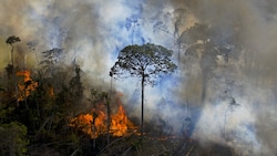 Die „Lunge der Erde“ brennt. Die Brandrodungen im brasilianischen Amazonasgebiet haben in den vergangenen Jahren deutlich zugenommen. (Bild: AFP/CARL DE SOUZA)