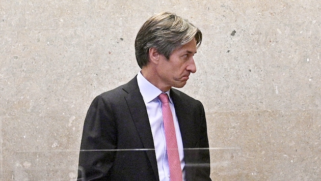 Ex-Finanzminister Karl-Heinz Grasser (Bild: APA/HANS PUNZ)