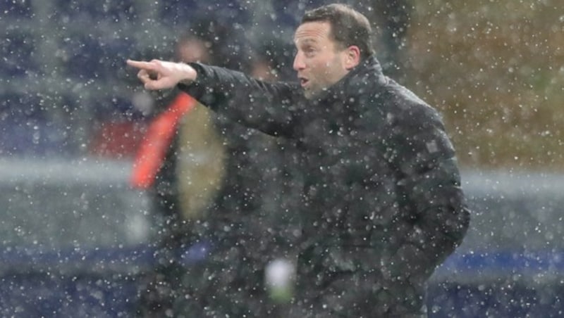 WAC-Cheftrainer Ferdinand Feldhofer (Bild: AP)