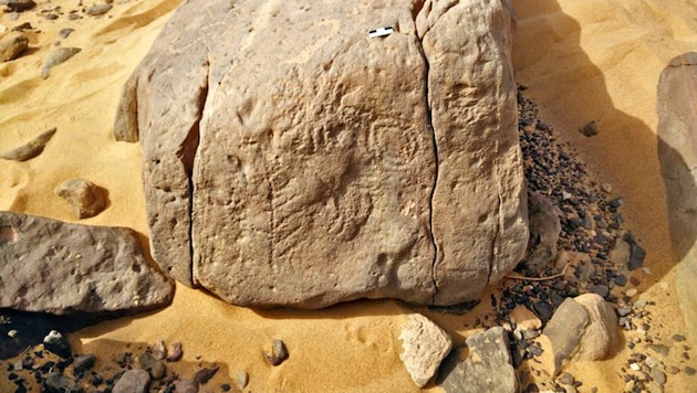 Die Felsinschrift mit den vier Hieroglyphen „Domäne des Horus-Königs Skorpion” (Bild: © Universität Bonn/Ludwig Morenz)