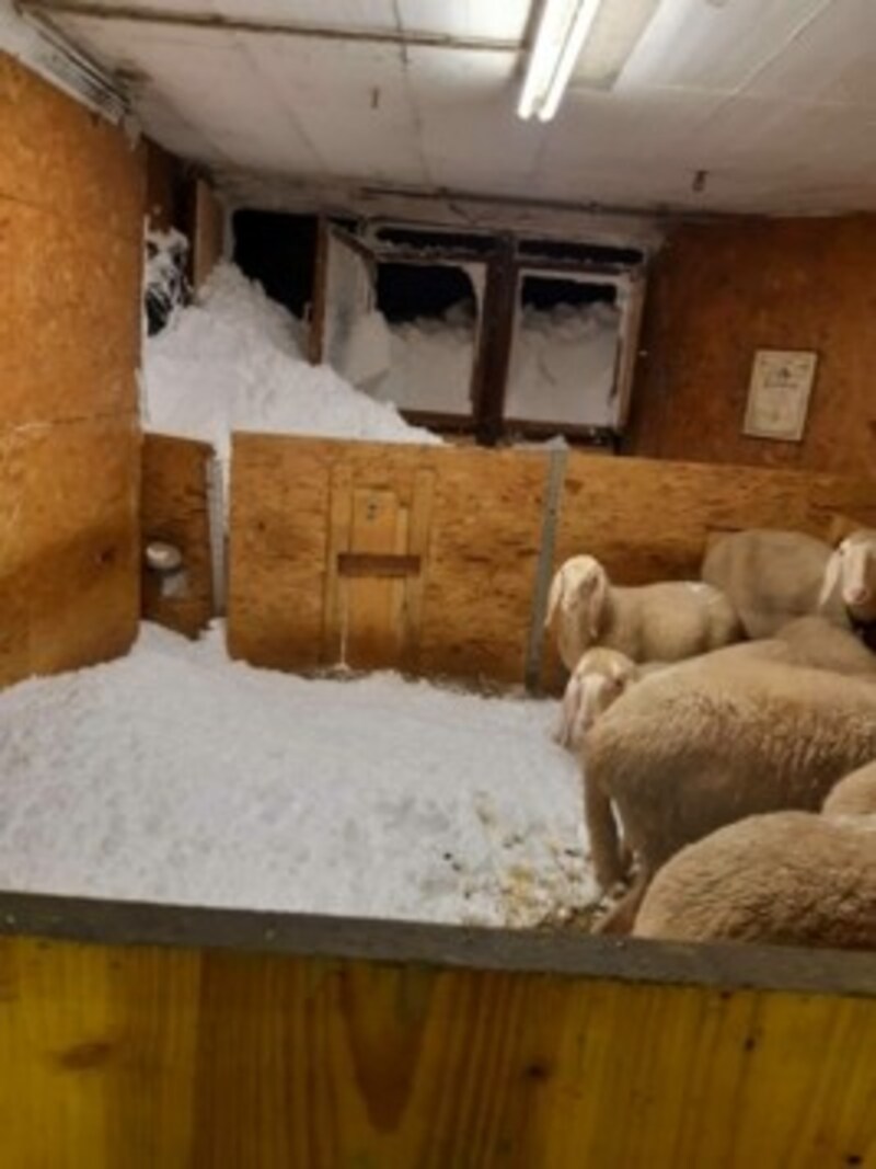 Durch den Lawinenabgang in Hinterbichl wurde auch ein Stall demoliert. Tiere sind nicht zu Schaden gekommen. (Bild: Sturm und Gewitterjagd Tirol)