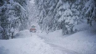 Im Westen von Tirol werden in den kommenden Tagen zwischen 50 und 100 Zentimeter Neuschnee erwartet. (Bild: Peter Maier)