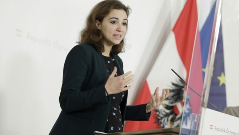 Ins Visier der ÖVP geraten: Justizministerin Alma Zadić (Bild: APA/BKA/ANDY WENZEL)