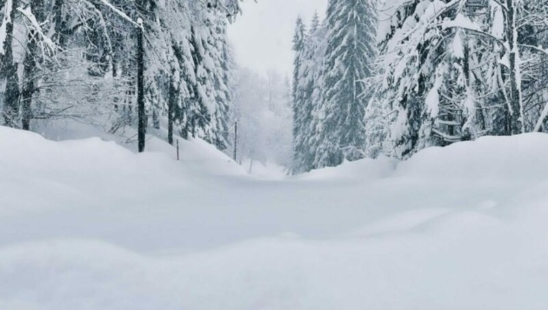 Das ist eigentlich die Plöckenpass Straße. Doch von dieser ist durch die Schneemassen derzeit nichts mehr zu sehen. (Bild: Hannes Wallner)