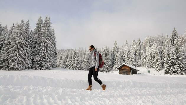 Das Wildmoos präsentiert sich im wundervollen Winterkleid. (Bild: Peter Freiberger)