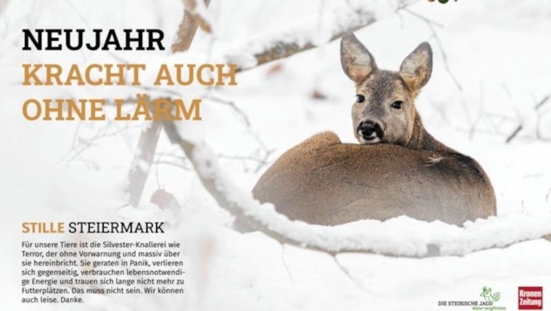 Stille Steiermark! Auch für Wildtiere! (Bild: Rubikon)