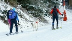 Auch mit Hund waren so manche Tourengeher am Wochenende unterwegs - hier in Wagrain. (Bild: Gerhard Schiel)