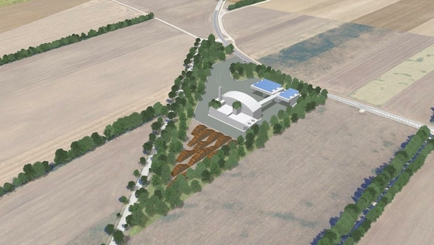 Das Biomasse-Kraftwerk soll künftig im Grünland stehen (Bild: EVN)