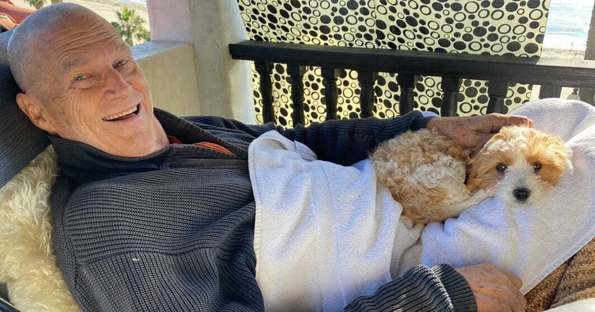 Lymphdrüsenkrebs Jeff Bridges Kopf rasiert und Hund angeschafft