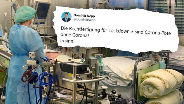 Ein Tweet von Wiens FPÖ-Chef Dominik Nepp sorgt wieder einmal für Wirbel. (Bild: APA/DPA, Twitter.com)