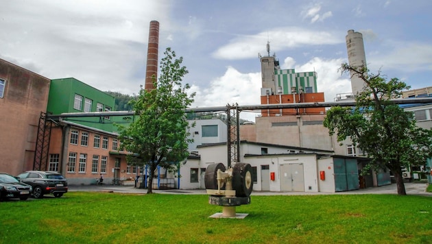 Austrocel plant Großes (Bild: Markus Tschepp)