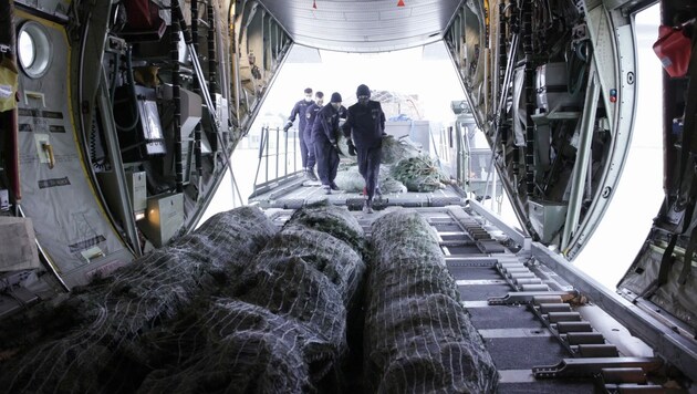 Verladen der Christbäume für die Auslandsmissionen in die Transportmaschine C-130 Hercules. (Bild: Bundesheer / Ertl)