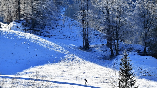 Ein Langläufer am Samstag in Hochfilzen (Tirol) (Bild: APA/BARBARA GINDL)