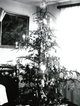 Christbaum im bürgerlichen Haus im 19. Jh. (Bild: Landesmuseum für Kärnten Fotothek Volkskunde)