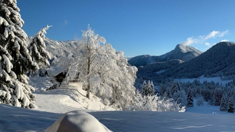 Neuschnee im Bodental. (Bild: zVg)