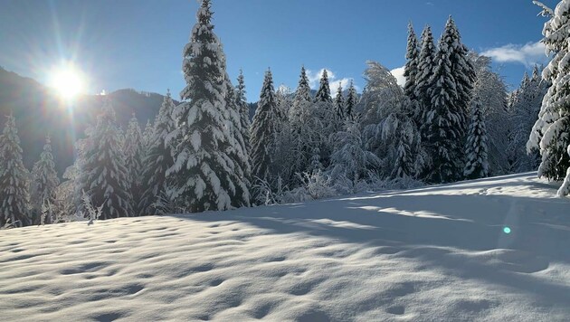 Winterlich präsentiert sich Kärntens Landschaft, nachdem es am Donnerstag geschneit hat. (Bild: zVg)