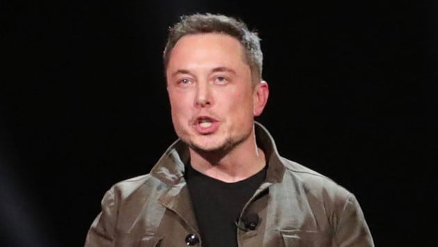 Tesla-Boss Elon Musk (Bild: Tesla)