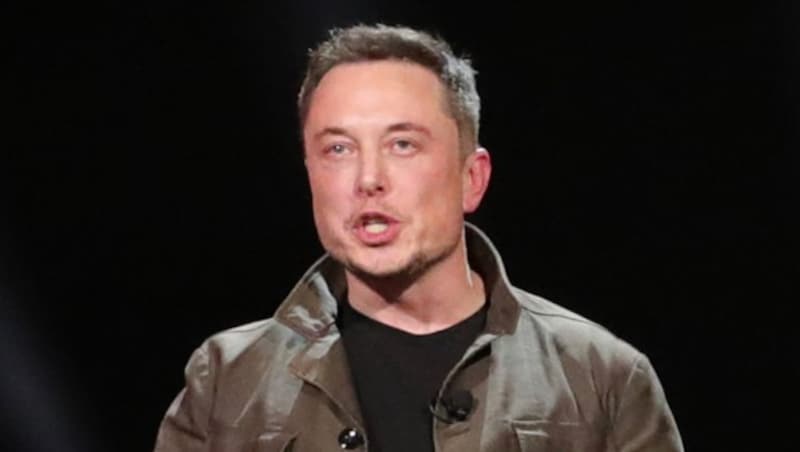 Tesla-Boss Elon Musk (Bild: Tesla)