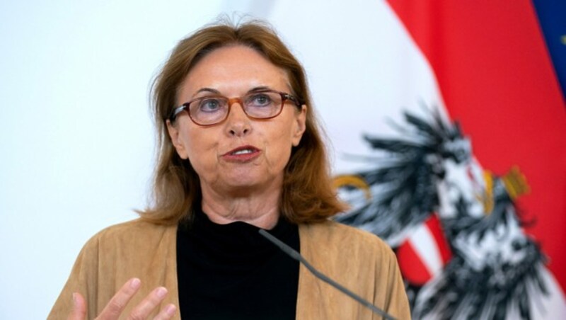 Susanne Kraus-Winkler, Obfrau des Wirtschaftskammerfachverbands für Hotellerie (Bild: APA/Georg Hochmuth)