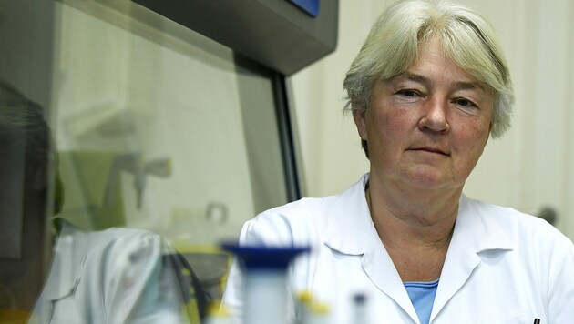 Elisabeth Puchhammer-Stöckl ist die Leiterin des Zentrums für Virologie der Meduni. (Bild: APA/ROBERT JAEGER)