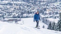 Pistenchef Herbert Hauser im Rahmen der FIS-Schneekontrolle auf der Streif in Kitzbühel (Bild: APA/EXPA/ STEFAN ADELSBERGER)