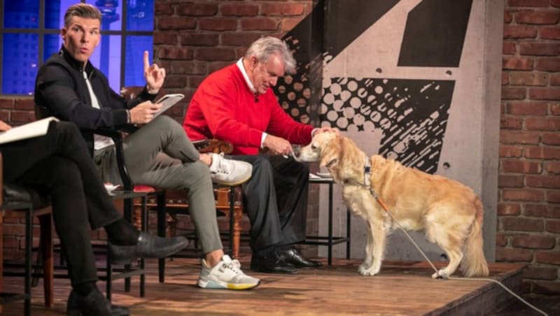 Hans Peter Haselsteiner füttert Golden Retriever Lilly. (Bild: Puls 4/Gerry Frank Photography)