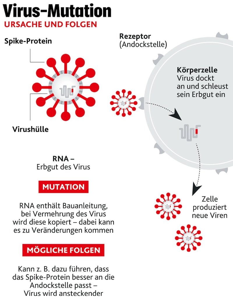 (Bild: APA, Krone KREATIV)