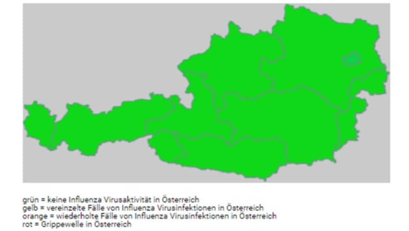 Grün in Grün: die österreichische Influenza-Ampel der MedUni Wien (Bild: Zentrum für Virologie, Medizinische Universität Wien)