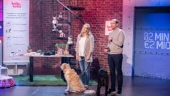 Wolfgang Maurer und Eva Schmal-Filius räumten in der Show „2 Minuten 2 Millionen“ gestern für die Hundefutter-Marke HelloBello ein Investment in Höhe von 200.000 Euro ab. Das Frischfutter gibt’s nur im Abomodell. (Bild: Puls4/Gerry Frank Photography)