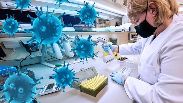 Die Analyse von Virus-Mutationen ist ein Wettlauf gegen die Zeit. (Bild: stock.adobe.com, APA/AFP/Halldor KOLBEINS, Krone KREATIV)