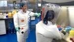 Die WHO-Experten durften auch jenes Labor in Wuhan besuchen, das im Verdacht stand, das Virus unabsichtlich verbreitet zu haben. (Bild: ASSOCIATED PRESS)
