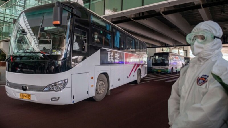 Der Bus mit dem auf 13 Köpfe geschrumpften WHO-Team am Flughafen Wuhan (Bild: APA/AFP/NICOLAS ASFOURI)