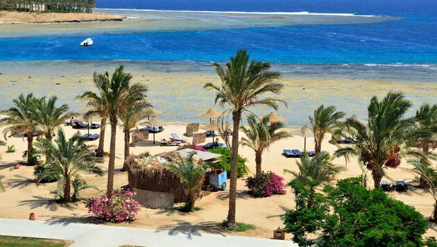 Viele Menschen sehnen sich bereits nach Sonne, Strand und Meer wie hier im ägyptischen Marsa Alam. (Bild: ©maudanros - stock.adobe.com)