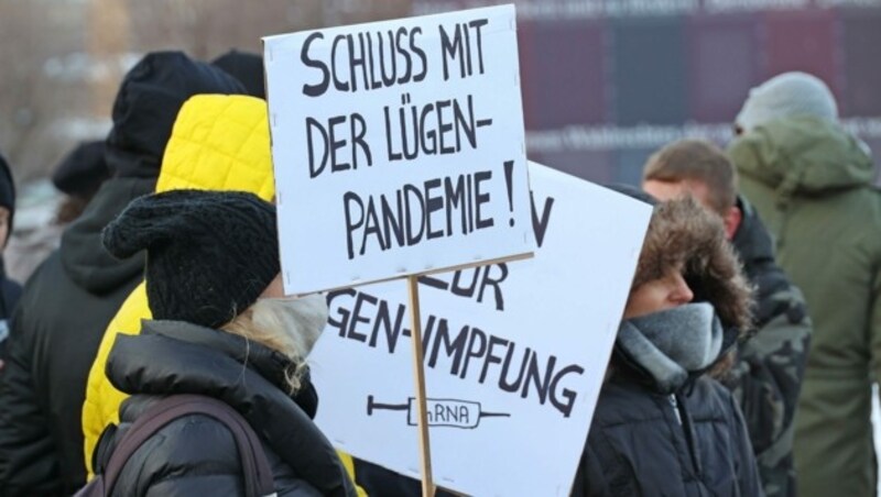 Skeptiker und Leugner bevölkerten die Wiener Innenstadt. (Bild: Peter Tomschi )